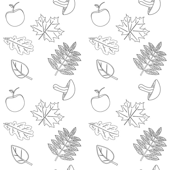 Coloriage feuilles et champignons d'automne