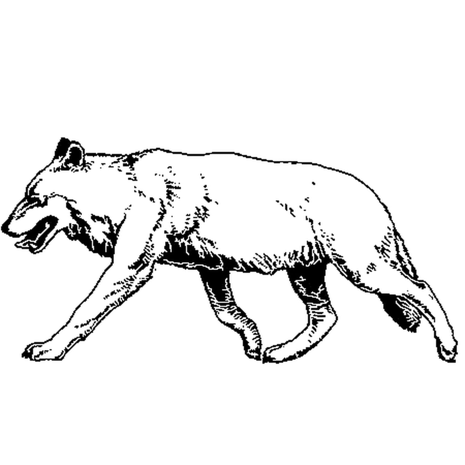 Coloriage Loup En Ligne Gratuit A Imprimer