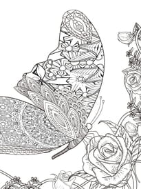 Coloriage d'un papillon sophistiqu&eacute; style mandala