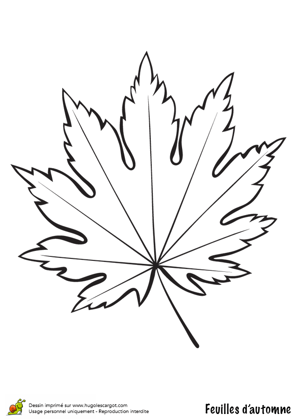 Coloriage D Arbre D Automne