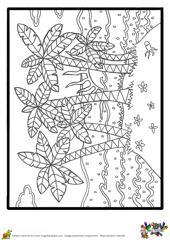 Coloriage A Imprimer Palmier