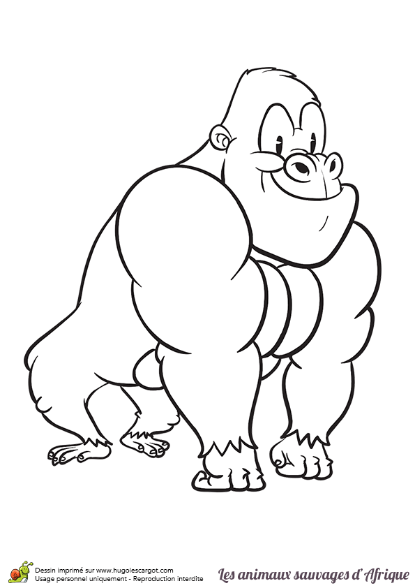 Coloriage D Animaux Rigolo