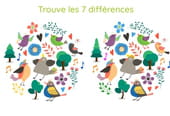 Le jeu des 7&nbsp;diff&eacute;rences&nbsp;: les oiseaux