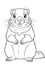 Une jolie marmotte de montagne