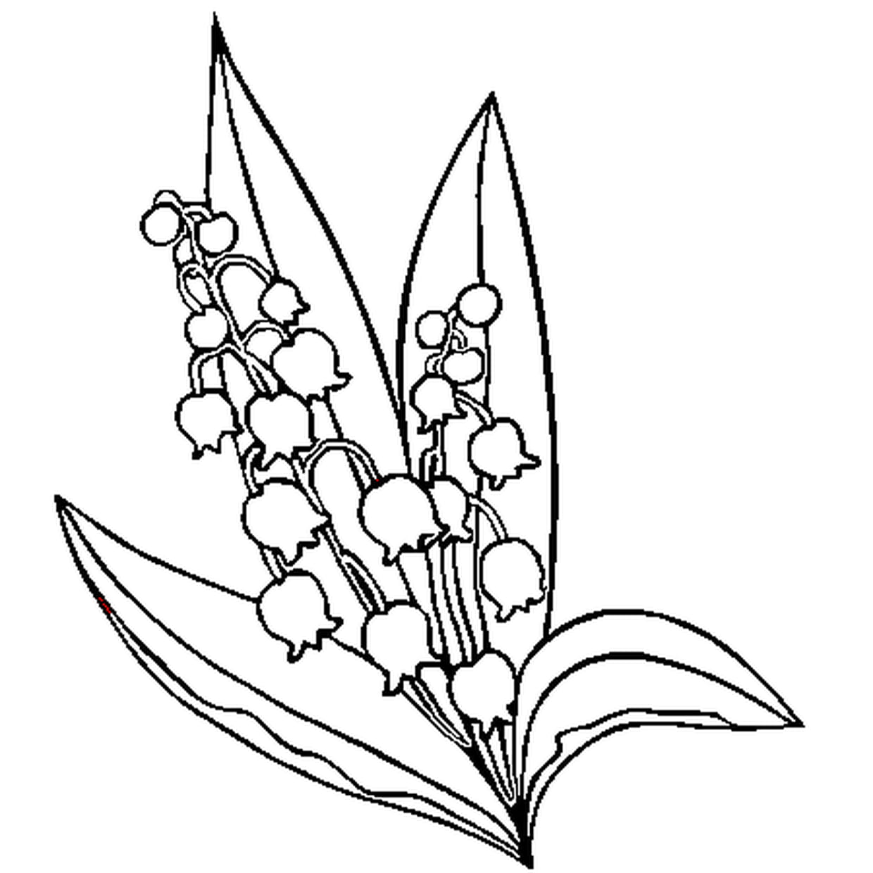 Coloriage De Muguet A Imprimer