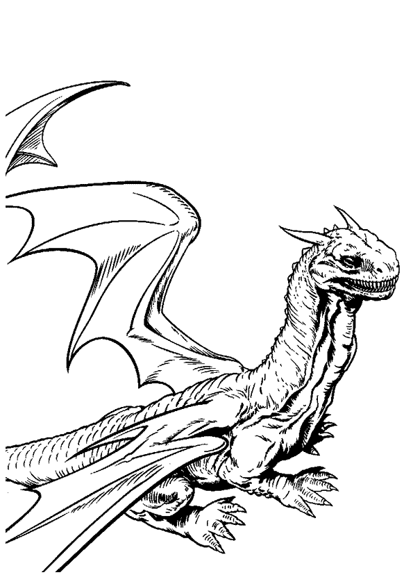 Coloriage Harry Potter Enfant