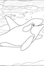 Coloriage d'une orque dans l'oc&eacute;an
