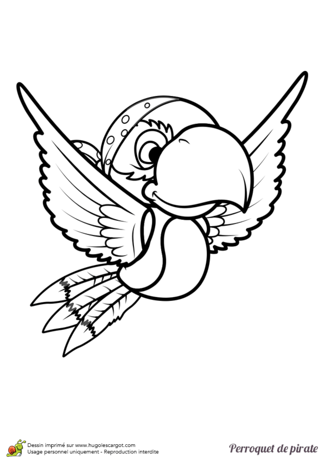 Coloriage D Un Perroquet De Pirate En Vol En Ligne Gratuit A Imprimer Coloriage D Un Perroquet De Pirate En Vol En Ligne Gratuit A Imprimer