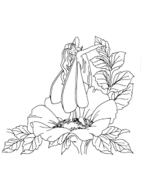 Coloriage fleur fee