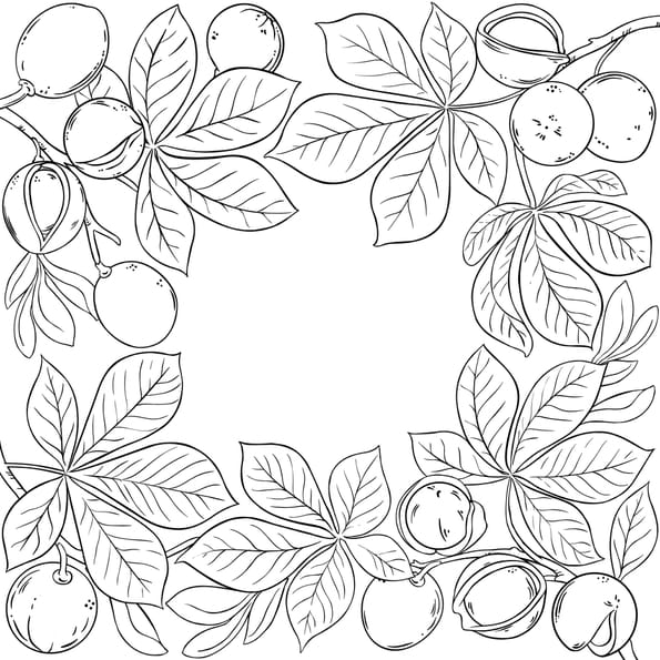 Coloriage feuilles de marronnier
