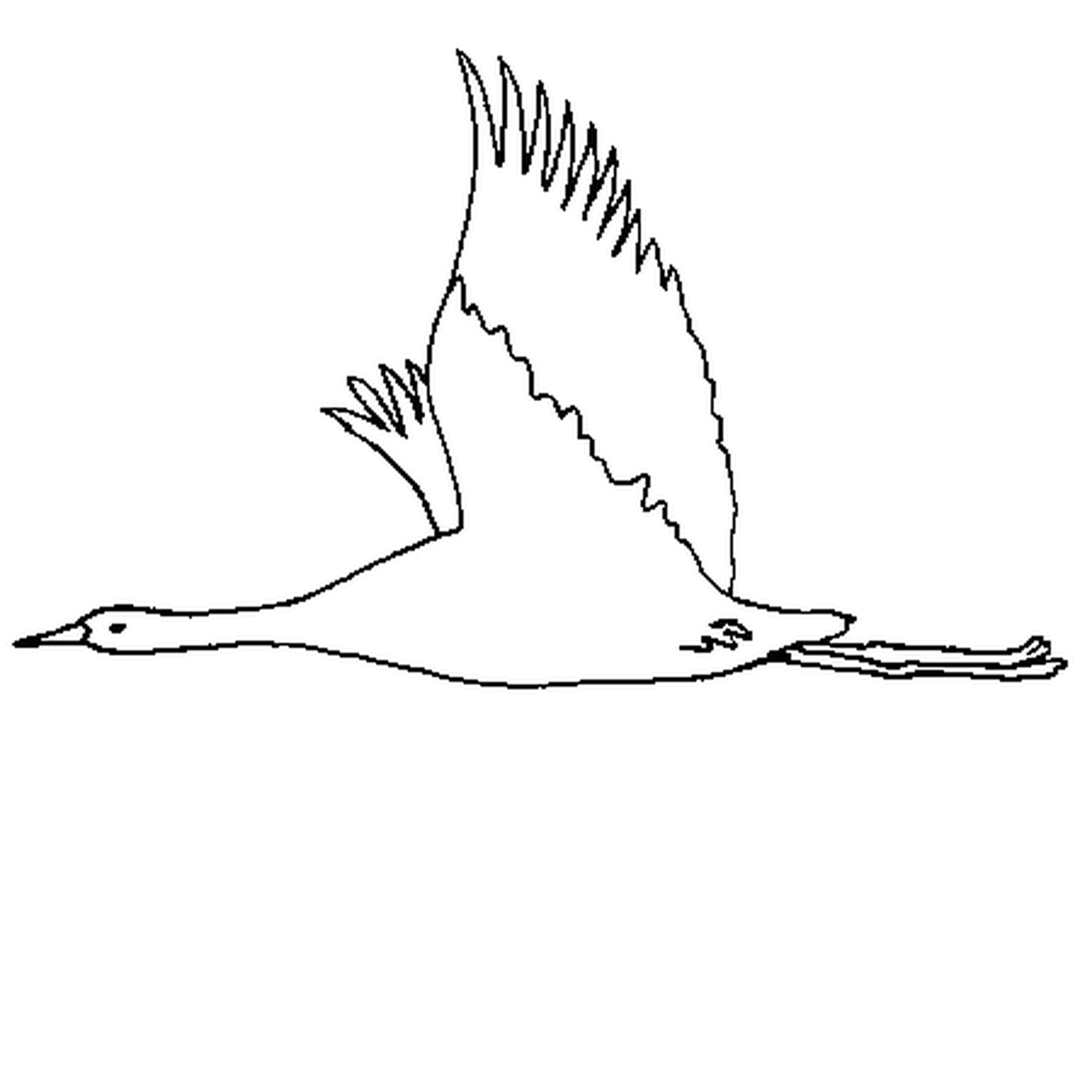 Coloriage Oiseau En Vol En Ligne Gratuit A Imprimer