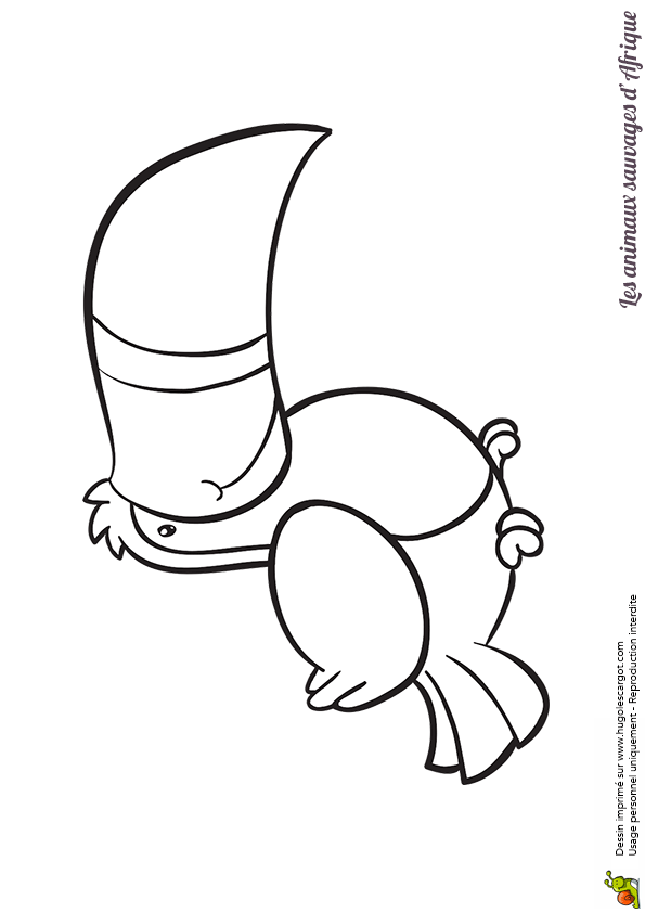 Coloriage A Imprimer Animaux D Afrique