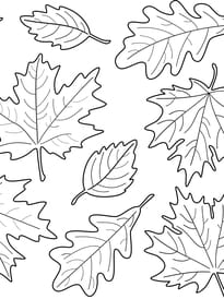 Coloriage multiples feuilles d'automne