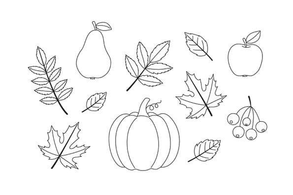 Coloriage des &eacute;l&eacute;ments de l'automne
