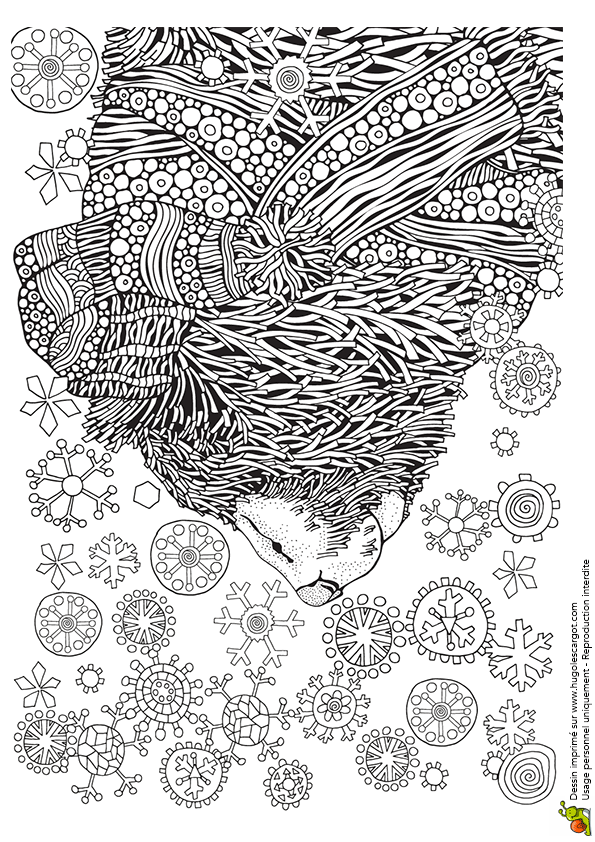 Coloriage D Ours Polaire