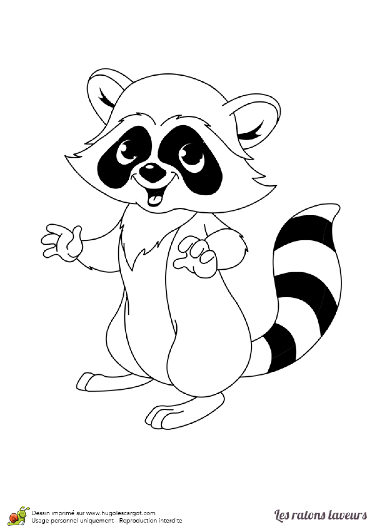 Coloriage D Un Petit Raton Laveur Debout Sur Ses Jambes