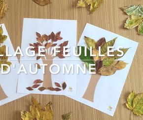 Faites de beaux collages avec les feuilles d'automne ramass&eacute;es dehors
