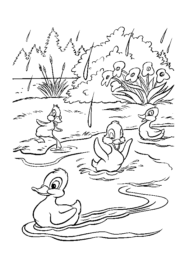Coloriage Canard A Imprimer