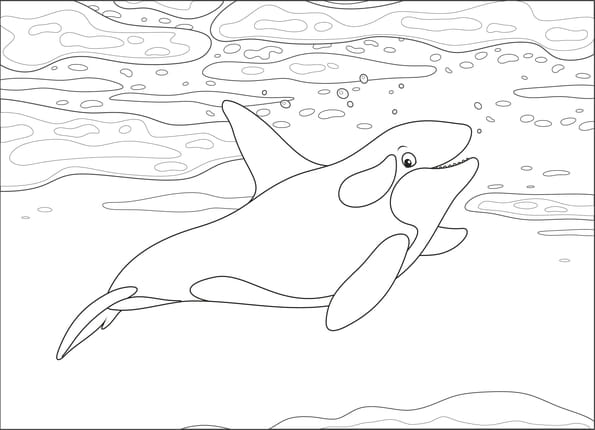 Coloriage d'une orque dans l'oc&eacute;an