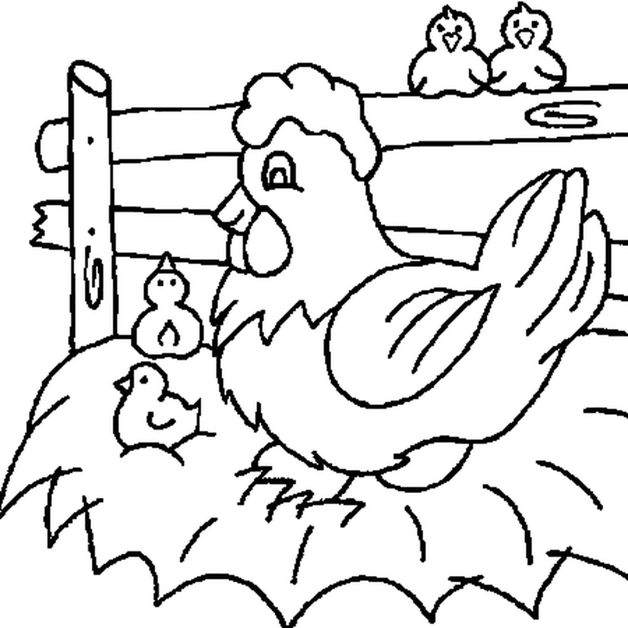 Coloriage Poule Et Poussins
