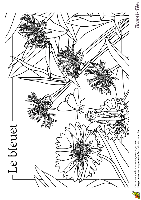 Le Monde Des Fleurs Coloriage