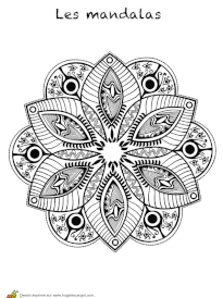 Coloriage mandala fleur d&eacute;velopp&eacute;e