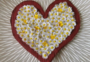 R&eacute;alisez un joli cadre en forme de c&oelig;ur avec seulement quelques p&acirc;querettes