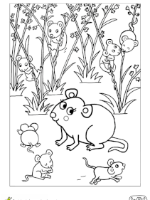 Coloriage bebe animaux souris et souriceaux
