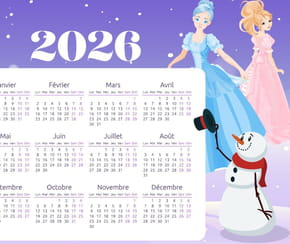 Calendrier&nbsp;2026&nbsp;inspir&eacute; de la Reine des Neiges
