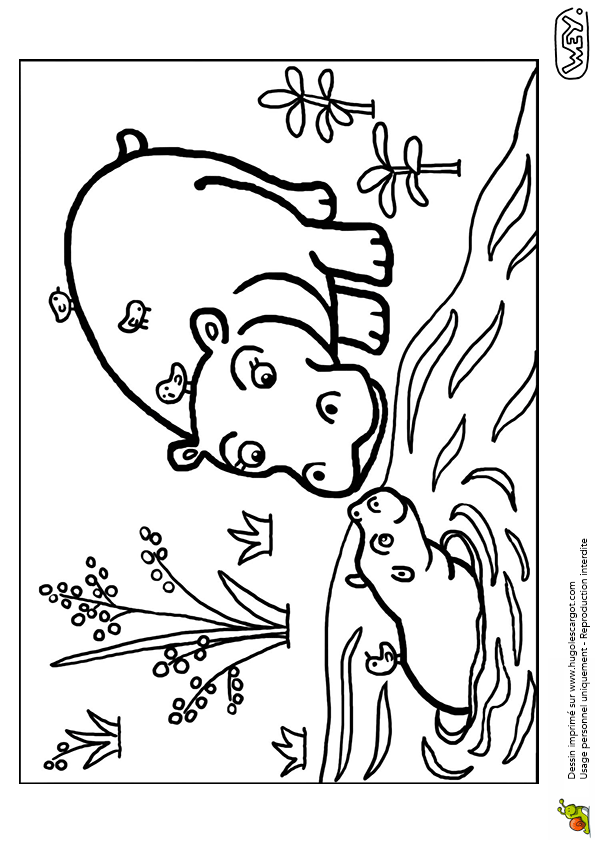 Coloriage Bebe Animaux Gratuit A Imprimer