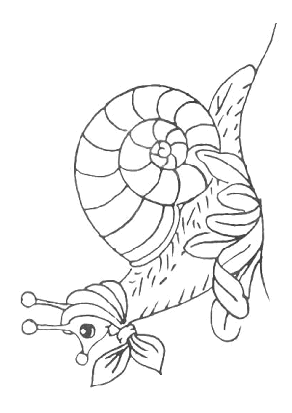 Hugo L Escargot Coloriage Mandala