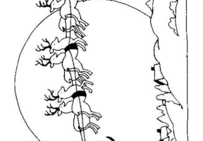 Coloriage noel pere noel