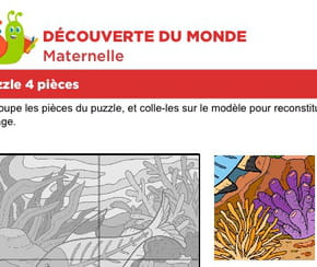 Puzzle 4&nbsp;pi&egrave;ces, le petit poisson bleu