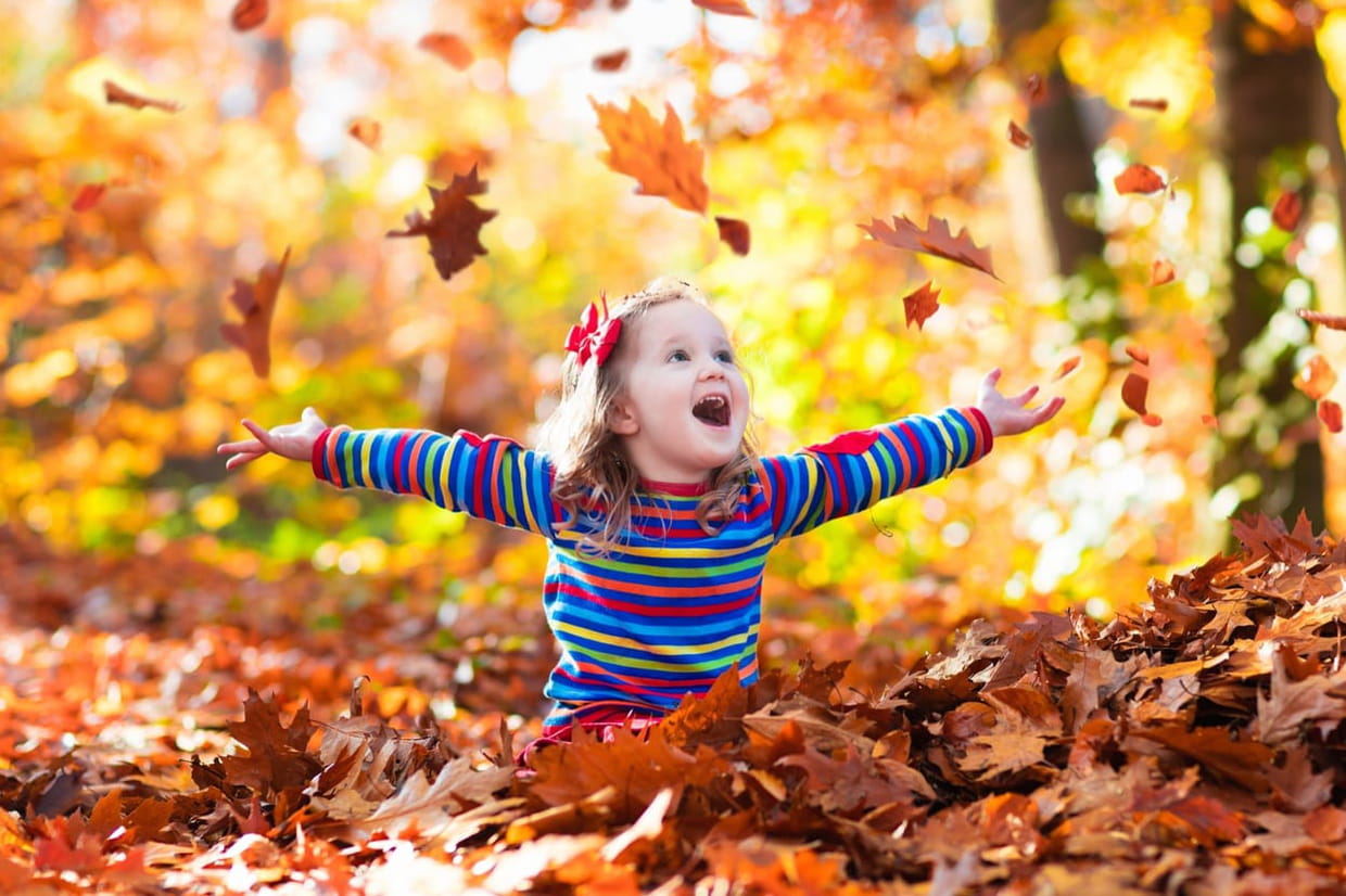 Poésie L automne Cp Il Pleut Des Feuilles Jaunes Il pleut des feuilles, chansons pour enfants