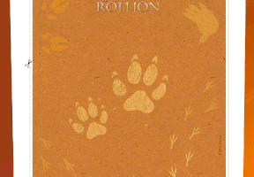 D&eacute;coration des maracas de Simba, le Roi lion