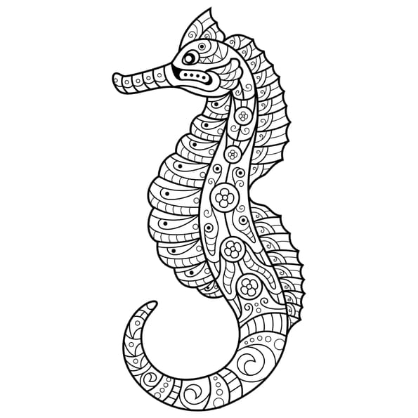 Coloriage hippocampe styl&eacute;