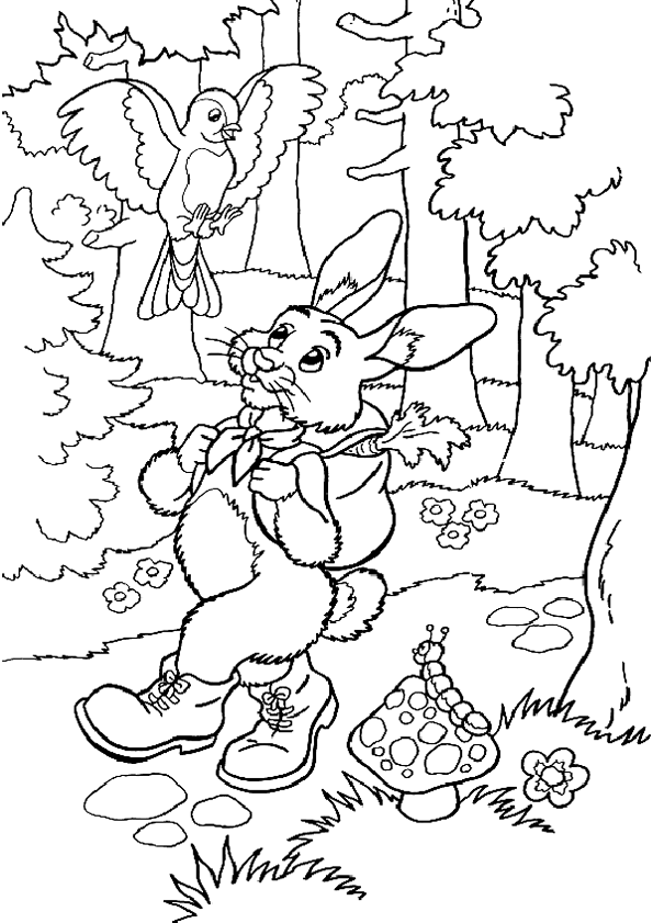 Coloriage De Foret A Imprimer