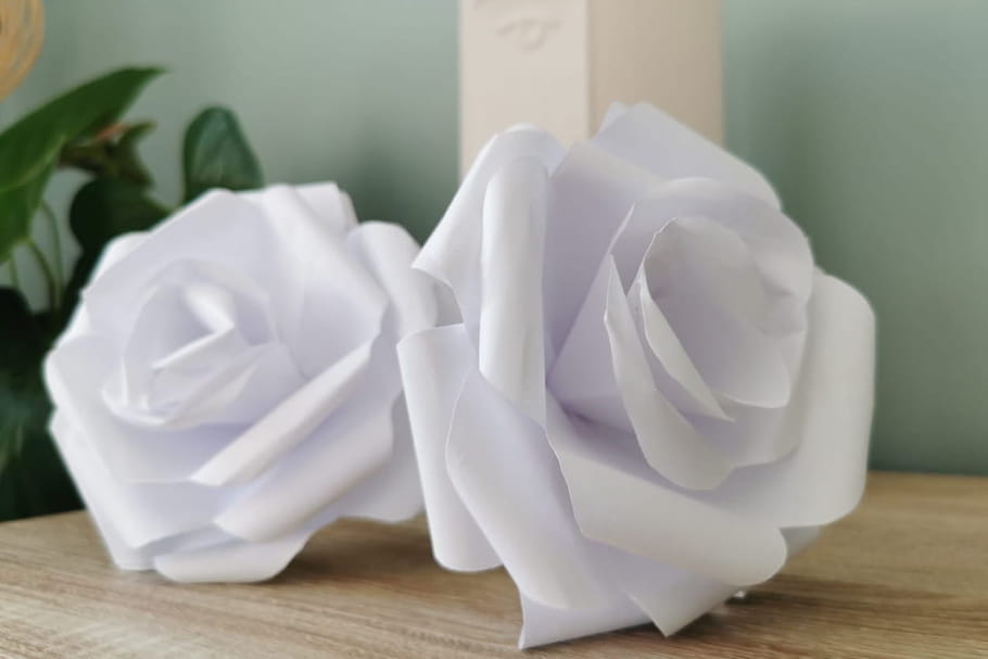 Comment faire de belles roses en papier