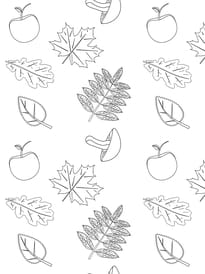 Coloriage feuilles et champignons d'automne