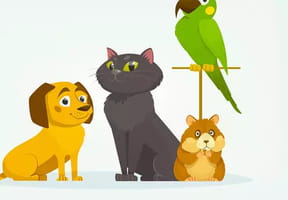 Animaux de compagnie