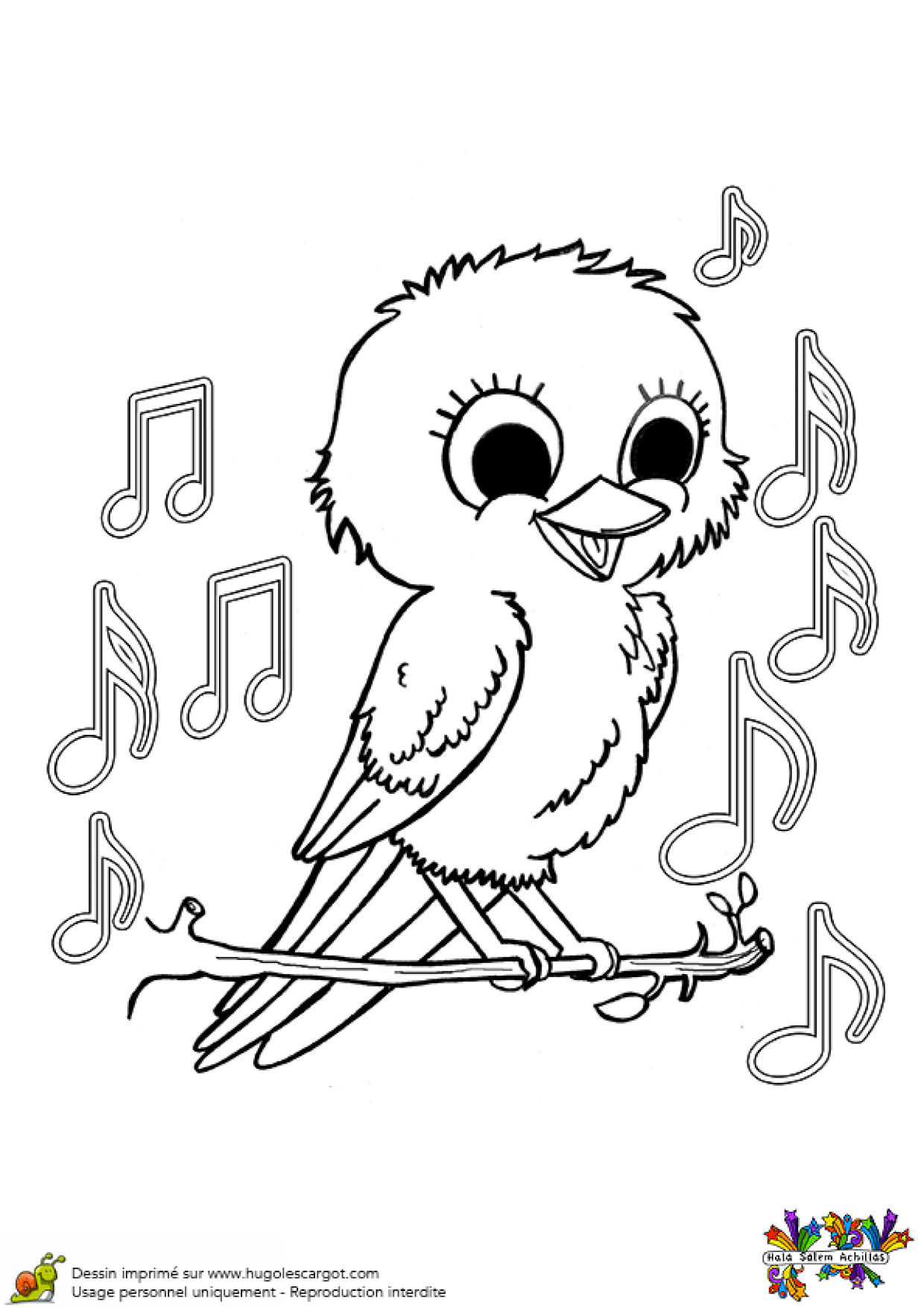 Coloriage Bebe Oiseau Sur Hugolescargot Com