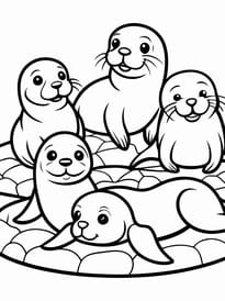 Coloriage d'une famille d'otaries
