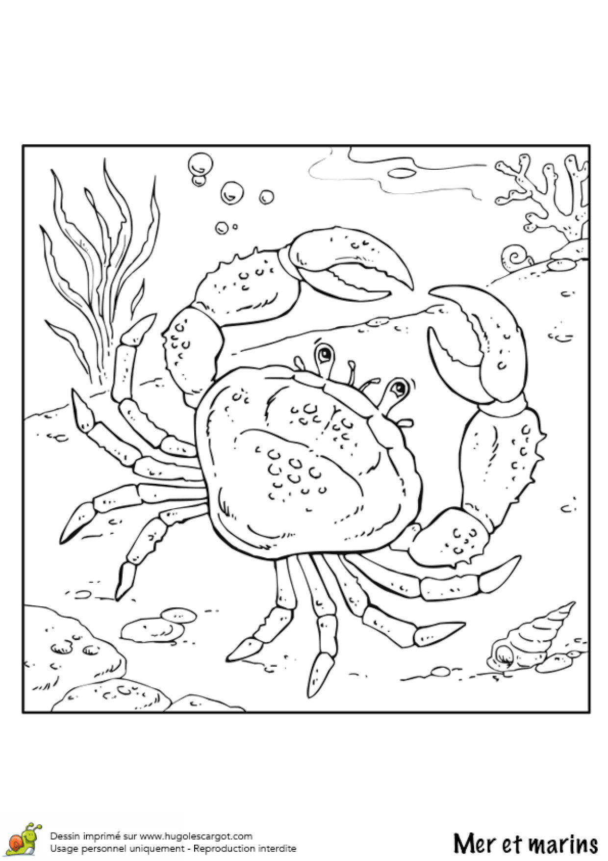 Coloriage Mer Et Marin Le Crabe Coloriage Mer Et Marin Le Crabe