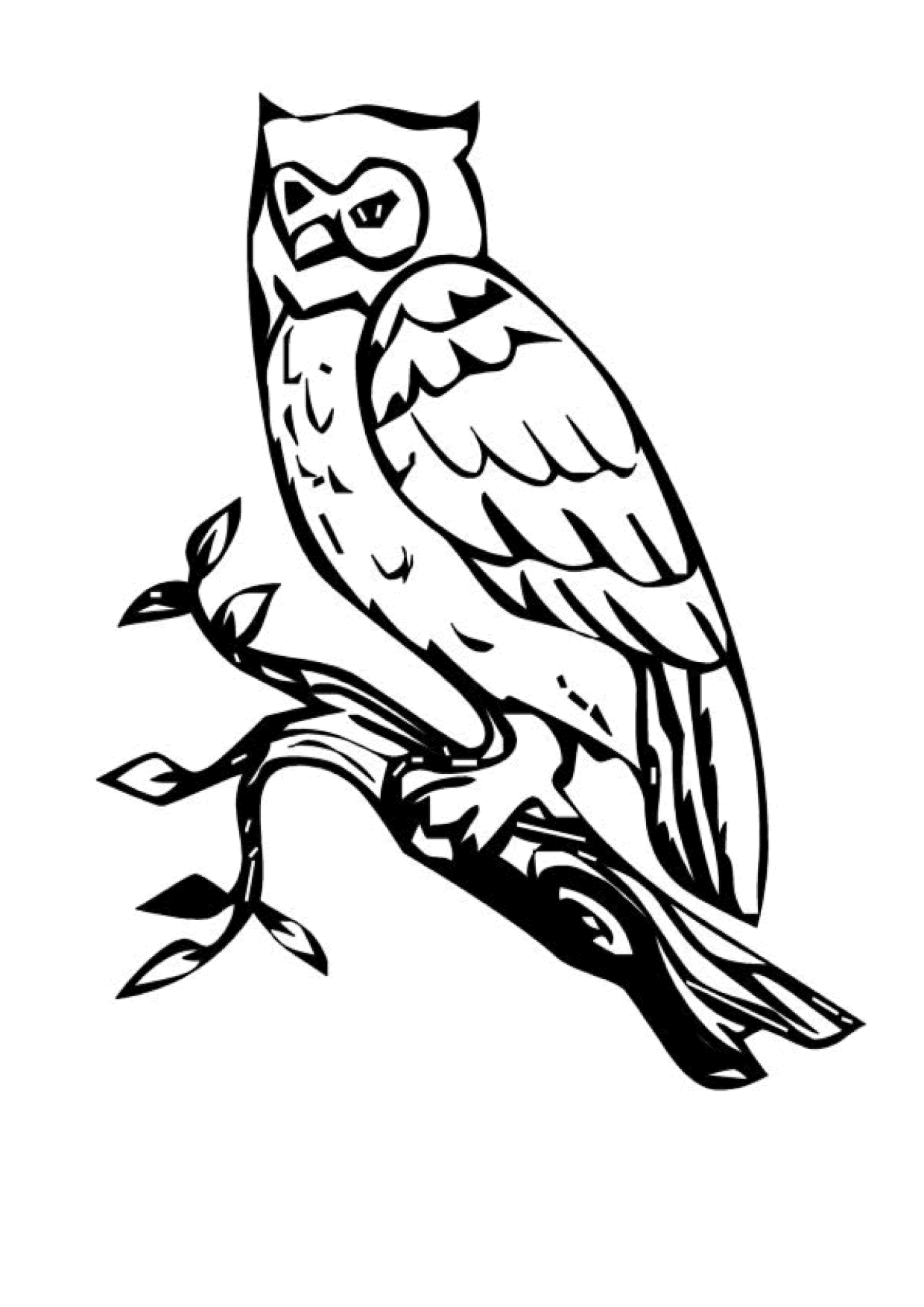 Coloriage Chouette Hibou Branche Coloriage Chouette Hibou Branche