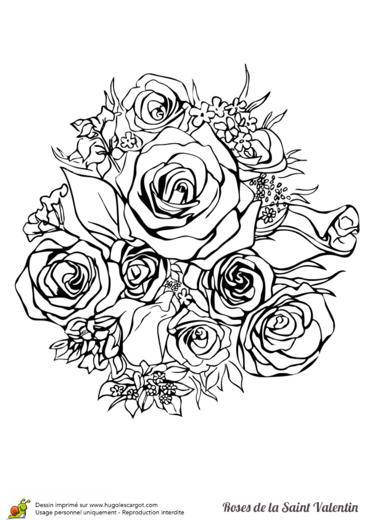Coloriage Bouquet De Roses Saint Valentin Sur Hugolescargotcom - 