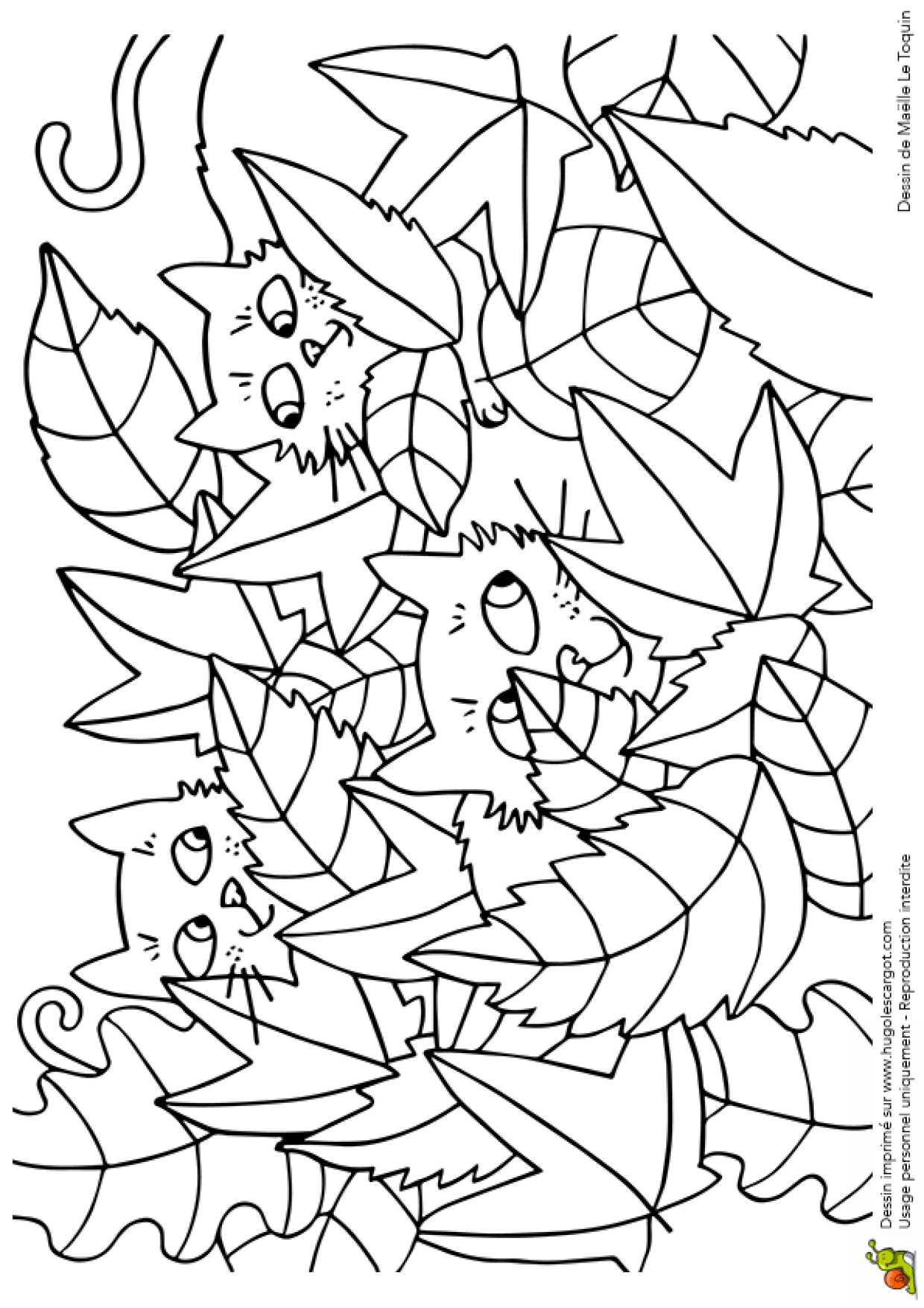 Coloriage Cache Cache Feuilles Chats