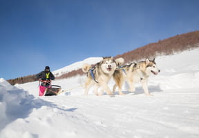 Journal d'un chien de tra&icirc;neau