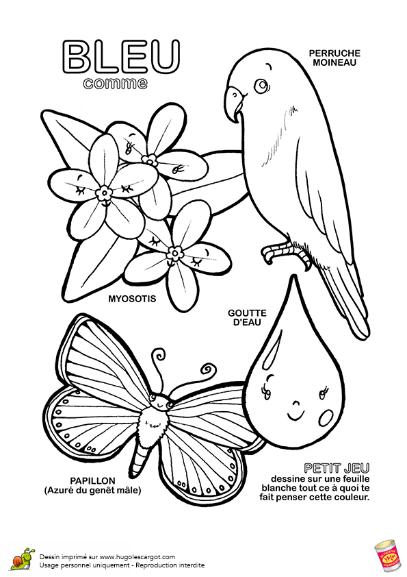 Coloriage Sur Les Couleurs