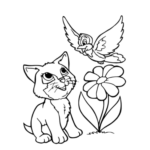 Coloriage En Ligne Oiseau