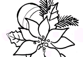 Coloriage houx noel fleur